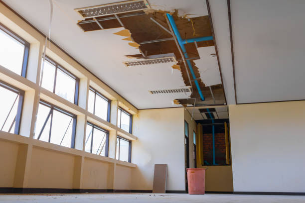 Best Mold removal after water damage  in Hacienda Heights, CA