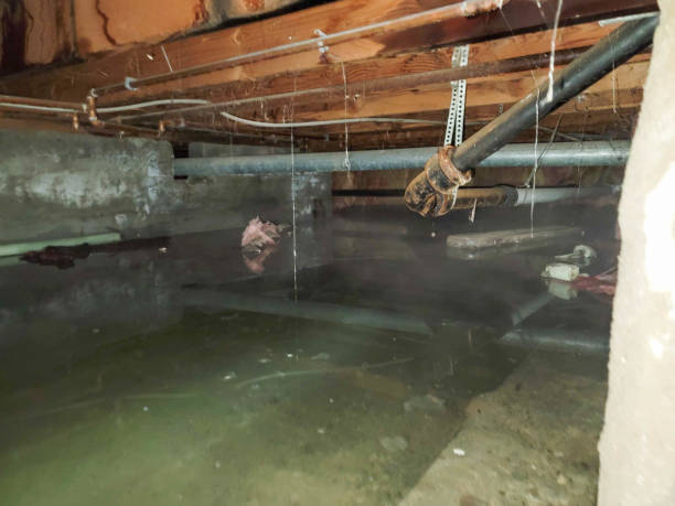 Best Water damage cleanup near me  in Hacienda Heights, CA
