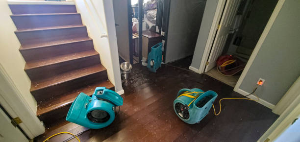 Best 24-hour water damage restoration  in Hacienda Heights, CA