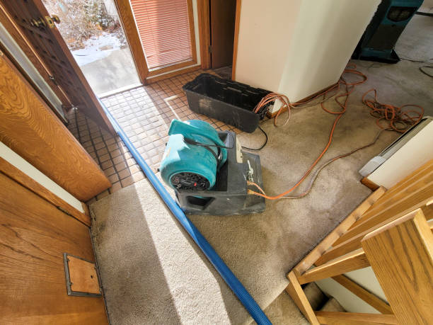 Best Water damage restoration near me  in Hacienda Heights, CA