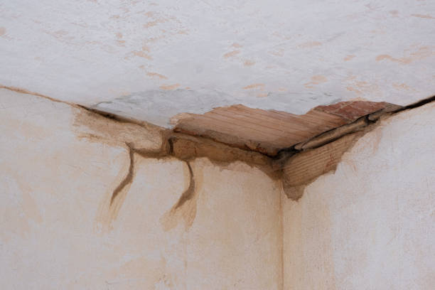 Best Flooded house restoration  in Hacienda Heights, CA