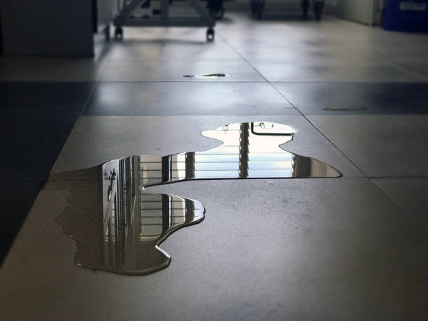 Best Water damage restoration near me  in Hacienda Heights, CA
