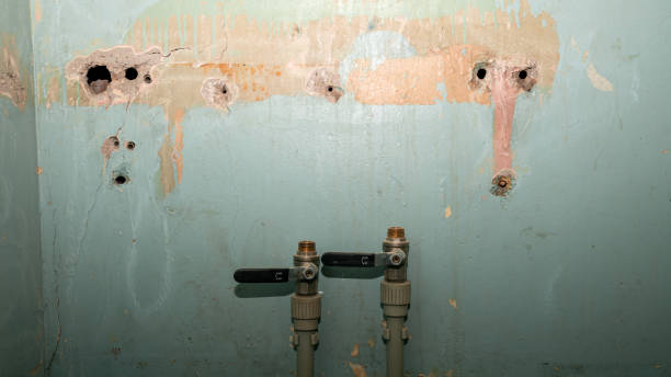 Best Residential water damage restoration  in Hacienda Heights, CA