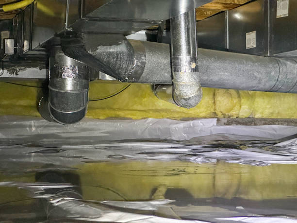 Best Water damage cleanup near me  in Hacienda Heights, CA