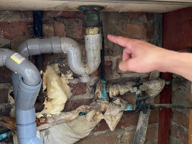 Best Flood restoration services  in Hacienda Heights, CA