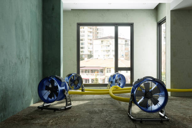 Best Flood damage cleanup  in Hacienda Heights, CA