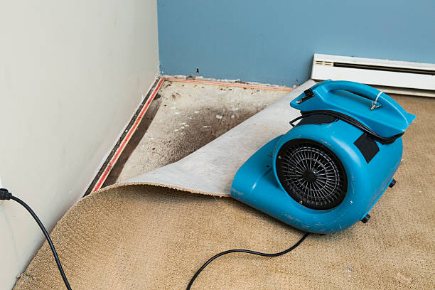  Hacienda Heights, CA Water damage restoration Pros